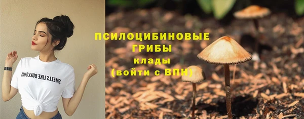 СК Семилуки