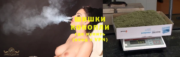 шишки Абинск