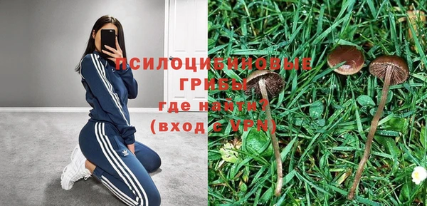 шишки Абинск