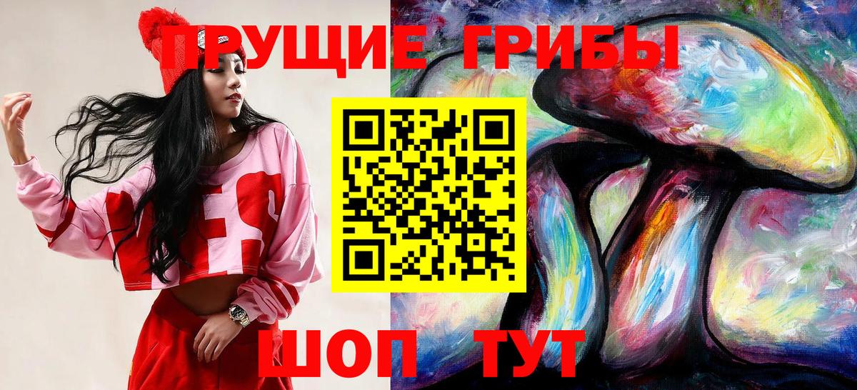 Краснодар  Псилоцибиновые грибы мухоморы  Вход с VPN  Псилоцибиновые грибы прущие грибы 